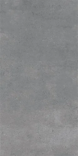 LIVINGSTONE Koyu Gri 60x120