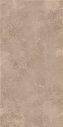 AVOLA Vison 60x120