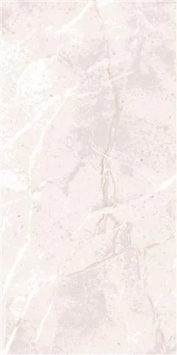 SARDA Krem 30x60