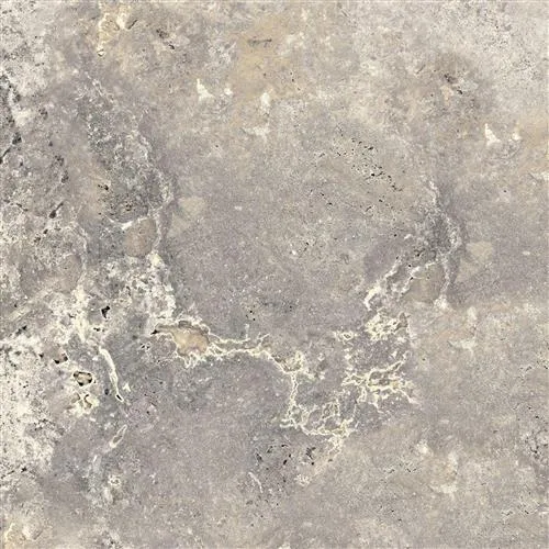 CAMARQUE Gris 60x60