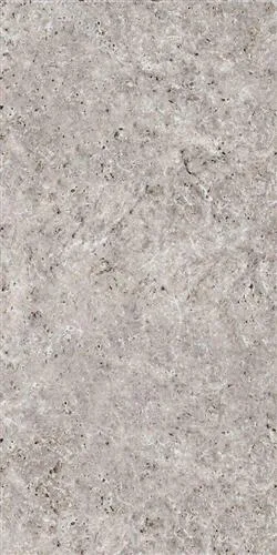 BELENCO Gri 60x120