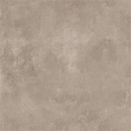 AVOLA Vison 100x100