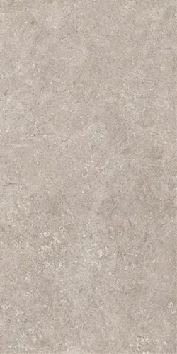 MARS Gümüş 30x60