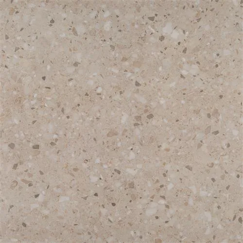 TERRAZO Bej 60x60