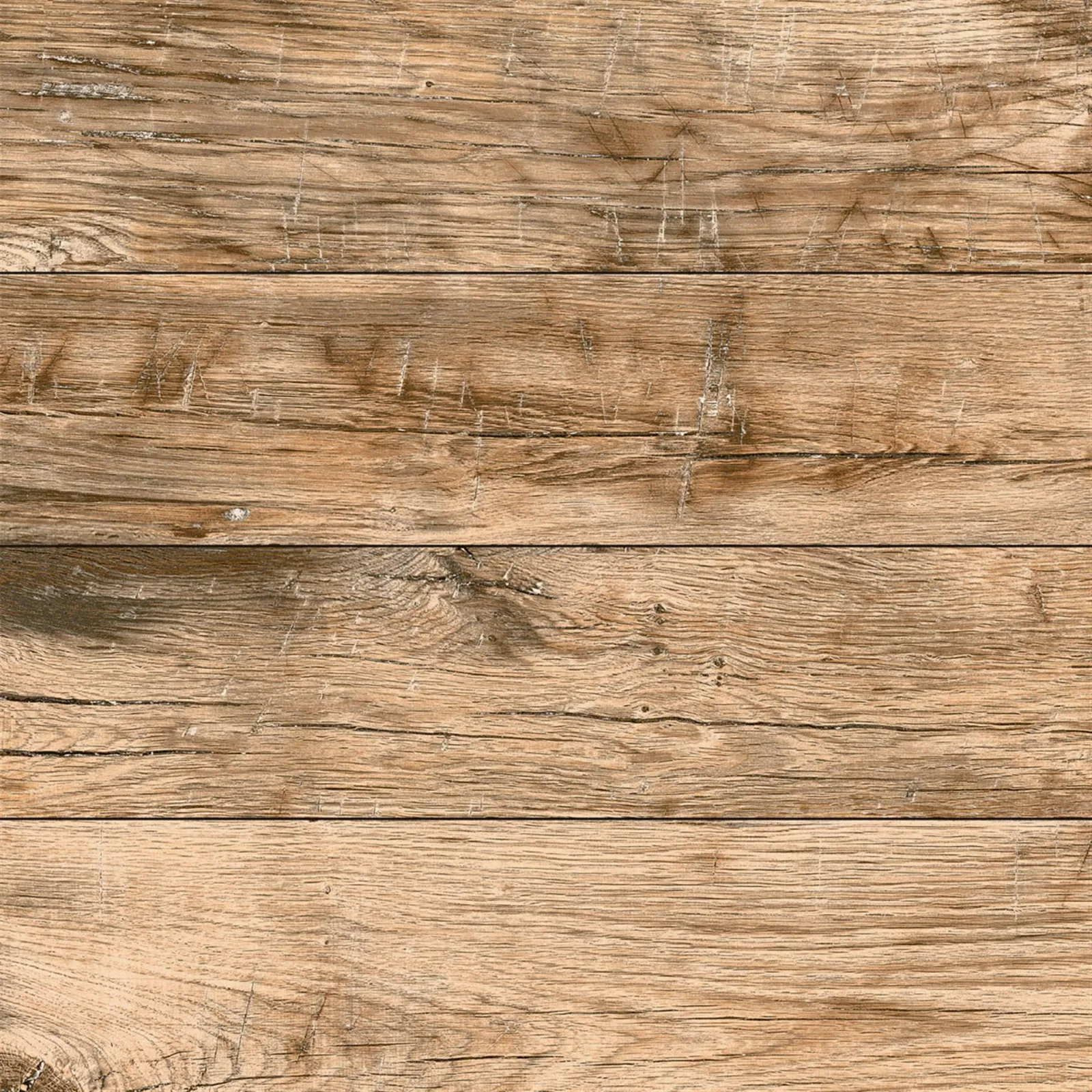 BAROK Meşe 60x60