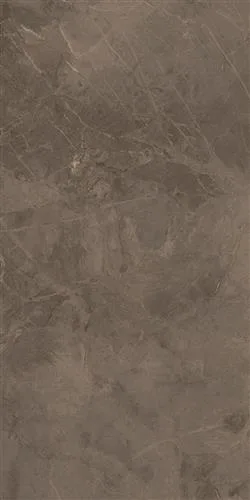 EVEREST Mocha 60x120