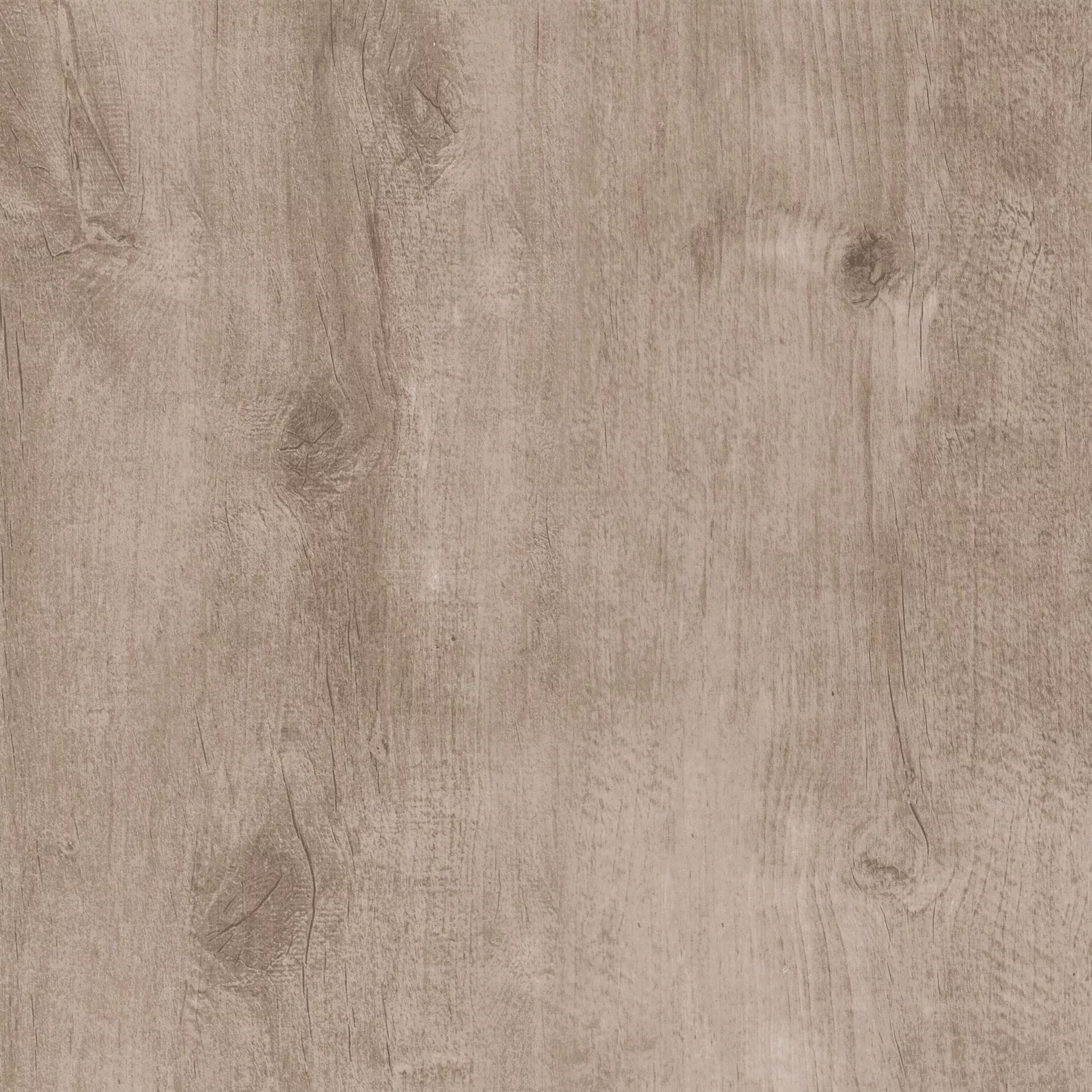 PASIFICO Natural 80x80