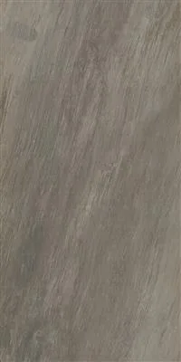 ARION Taupe 60x120