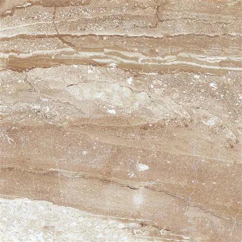 NAPOLI Kahve 80x80