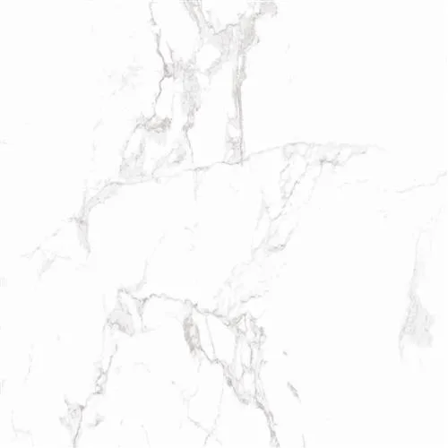 PRAIA 20MM Carrara 60x60