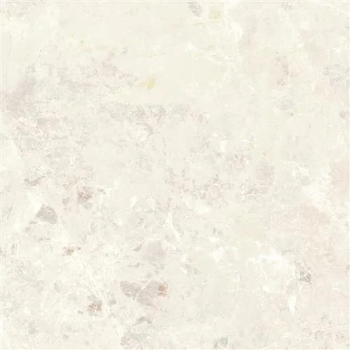 BETA Bone 60x60