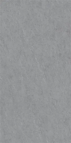 ORFE PLUS Gri 60x120