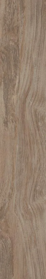OTTOWA Honey 20x120