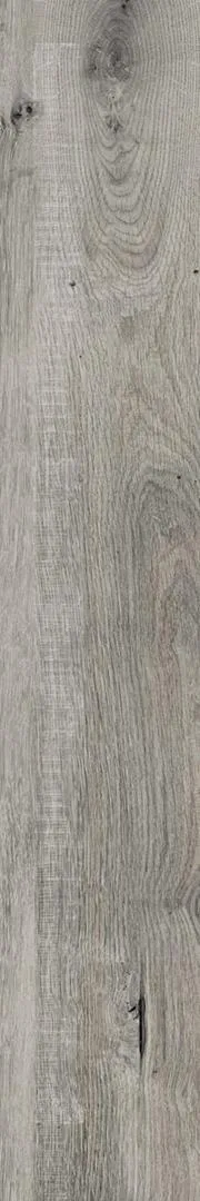 ESSENCE Tono 20x120