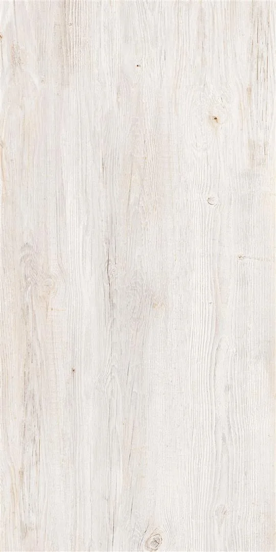VERMONT Bone 60x120