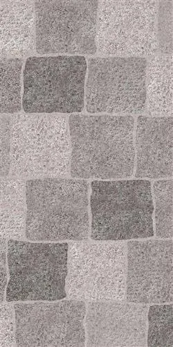FLAGSTONE Gri 40x120
