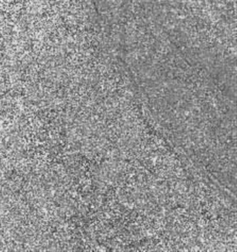 CROSS Gri 60x60
