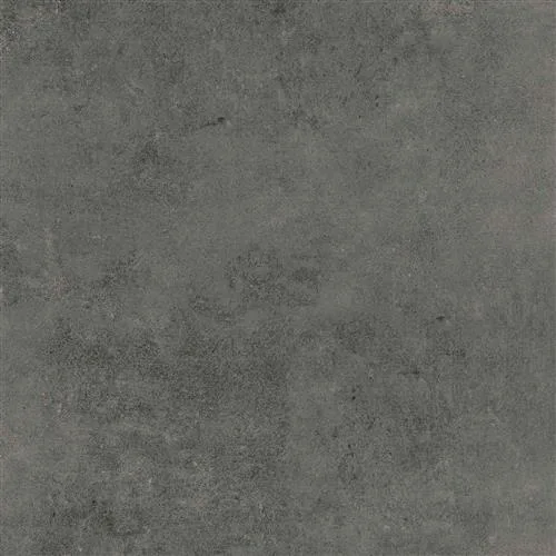 OLYMPIA Graphite 60x60