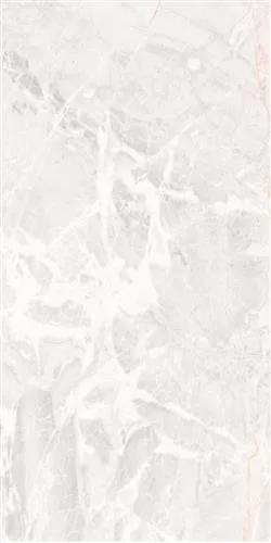 ASTANA Açık Gri 60x120