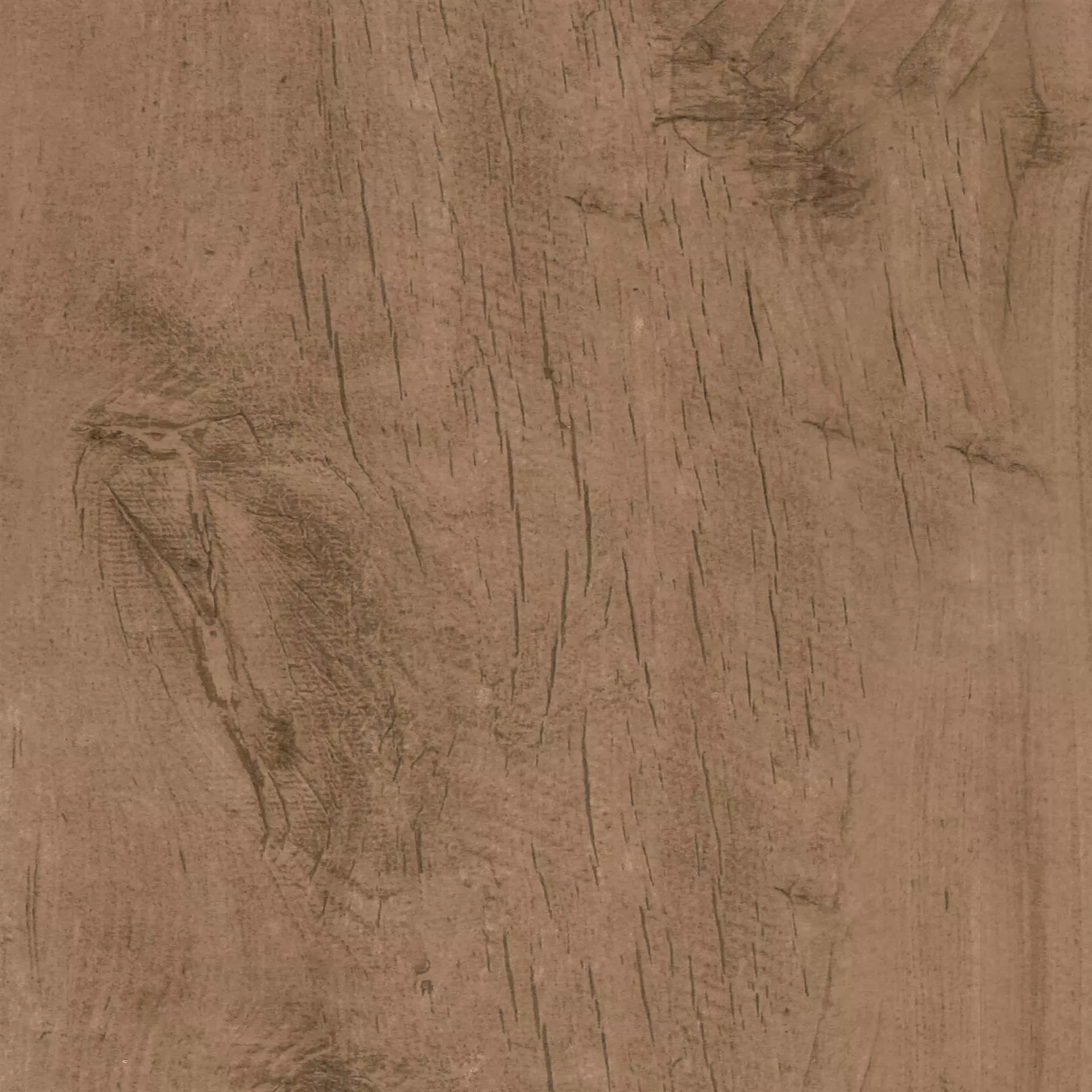 PASIFICO Avana 80x80