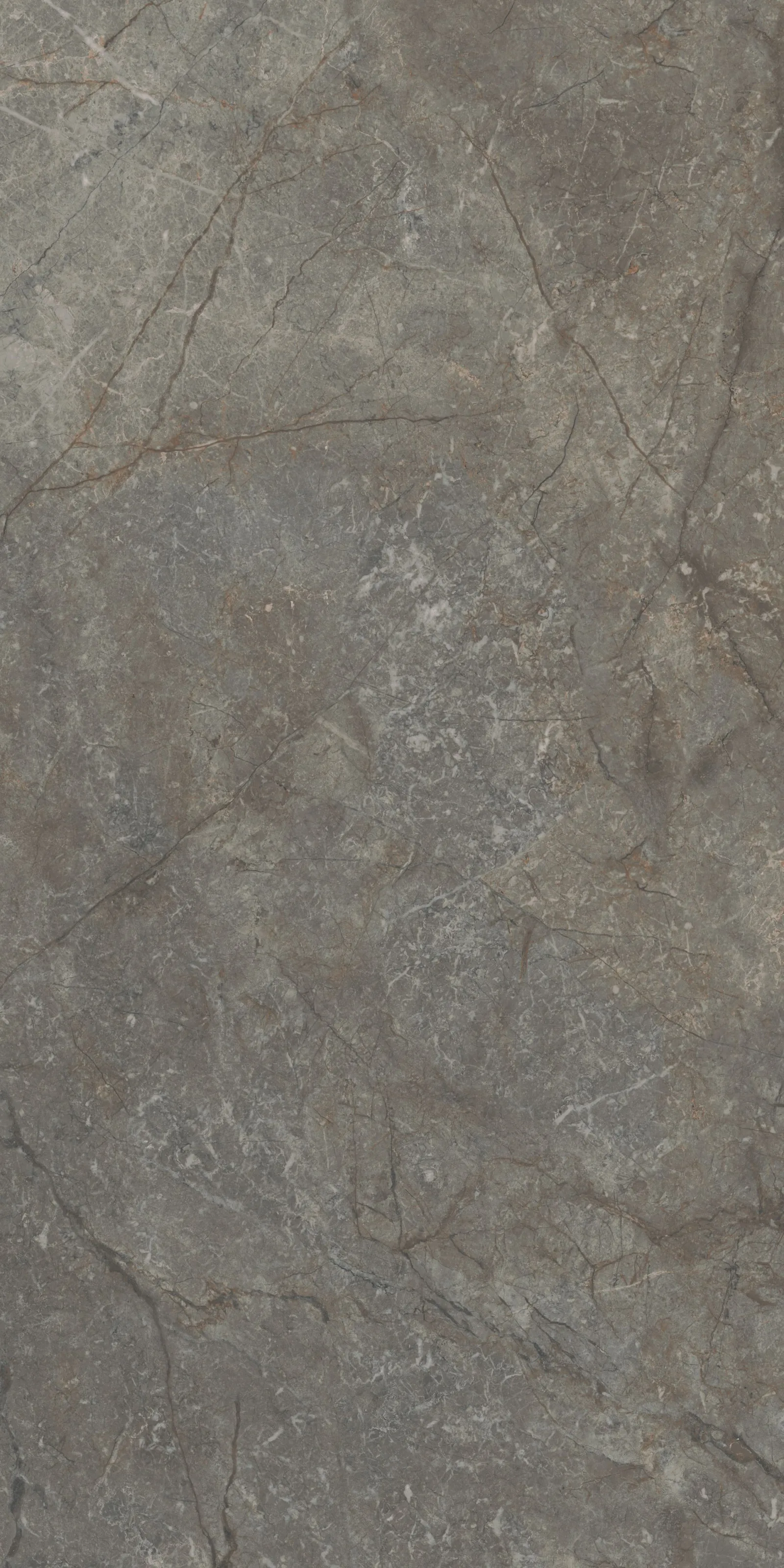 60X120 Silver Root Gri Rektifiyeli — 4