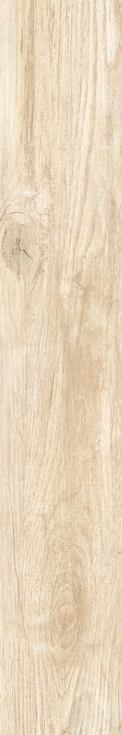 20x120 Savannah Sand — 2