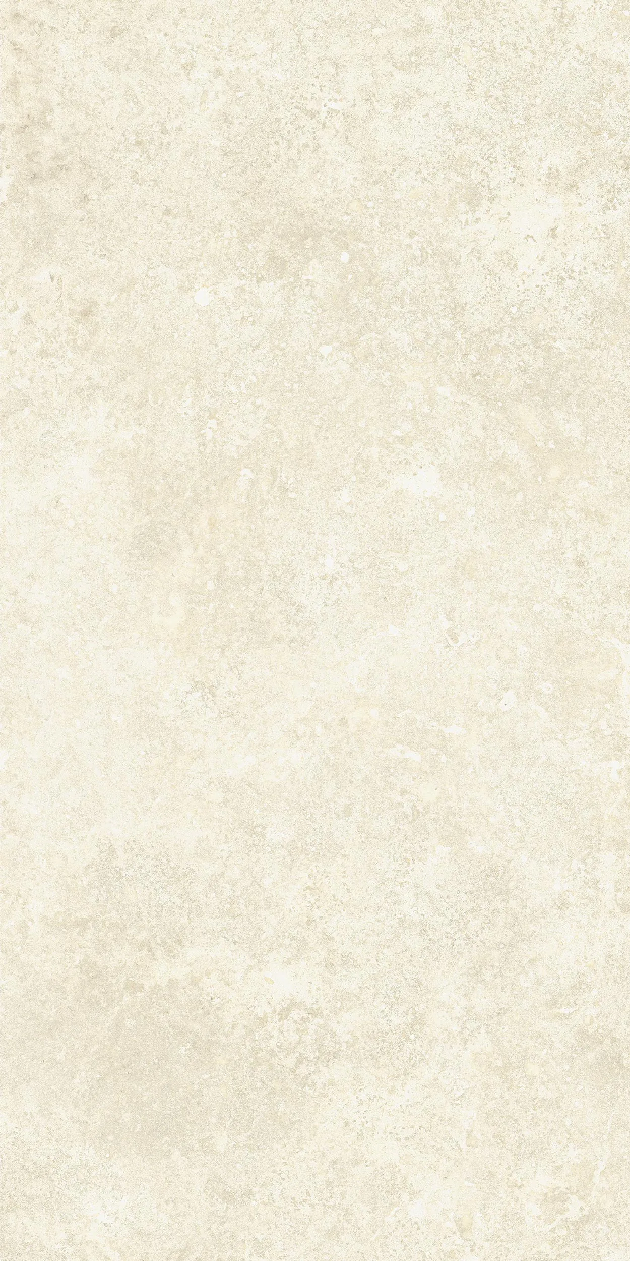 30x60 Motto Avorio