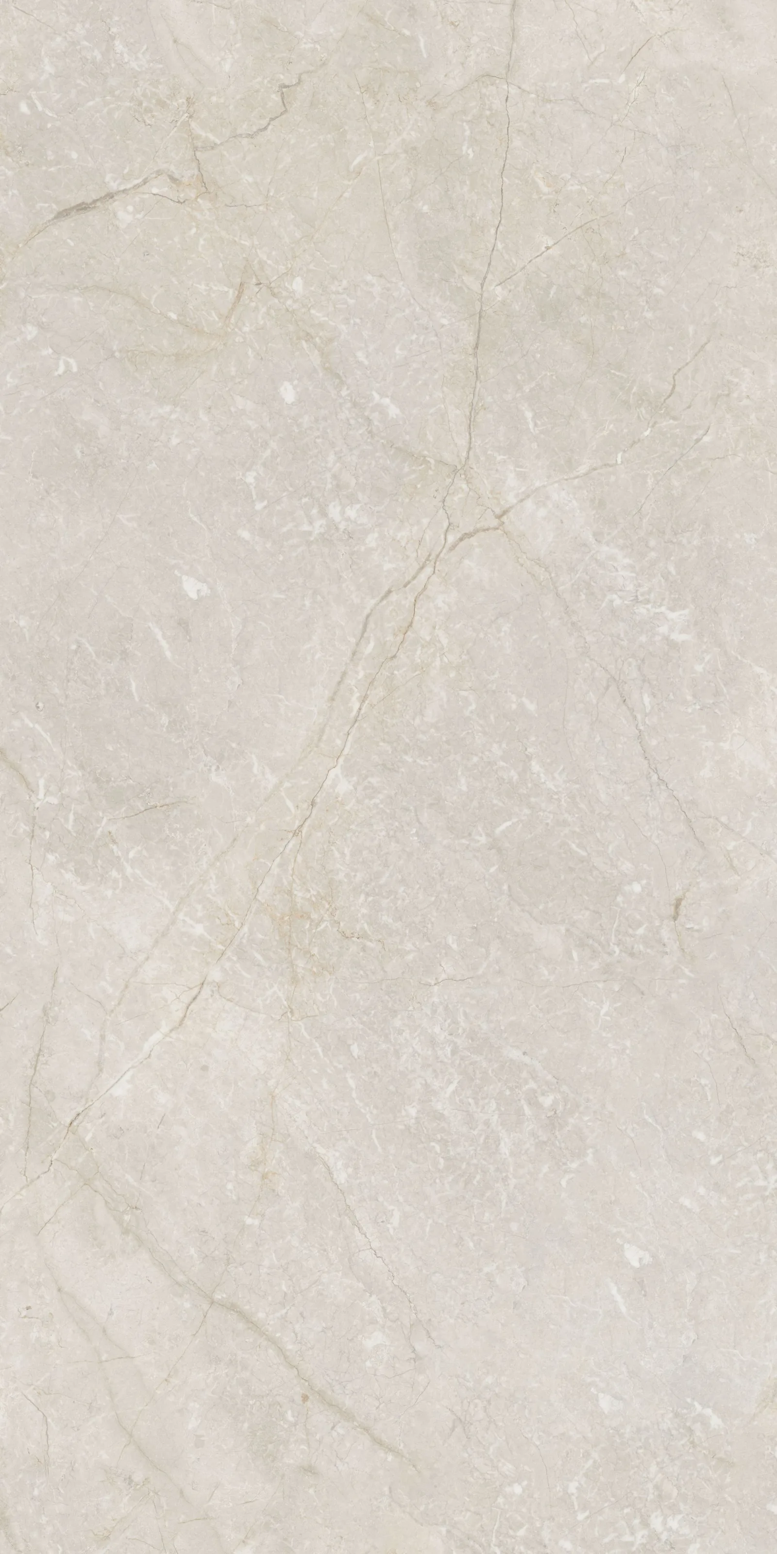 60X120 Silver Root Fildişi Rektifiyeli — 2