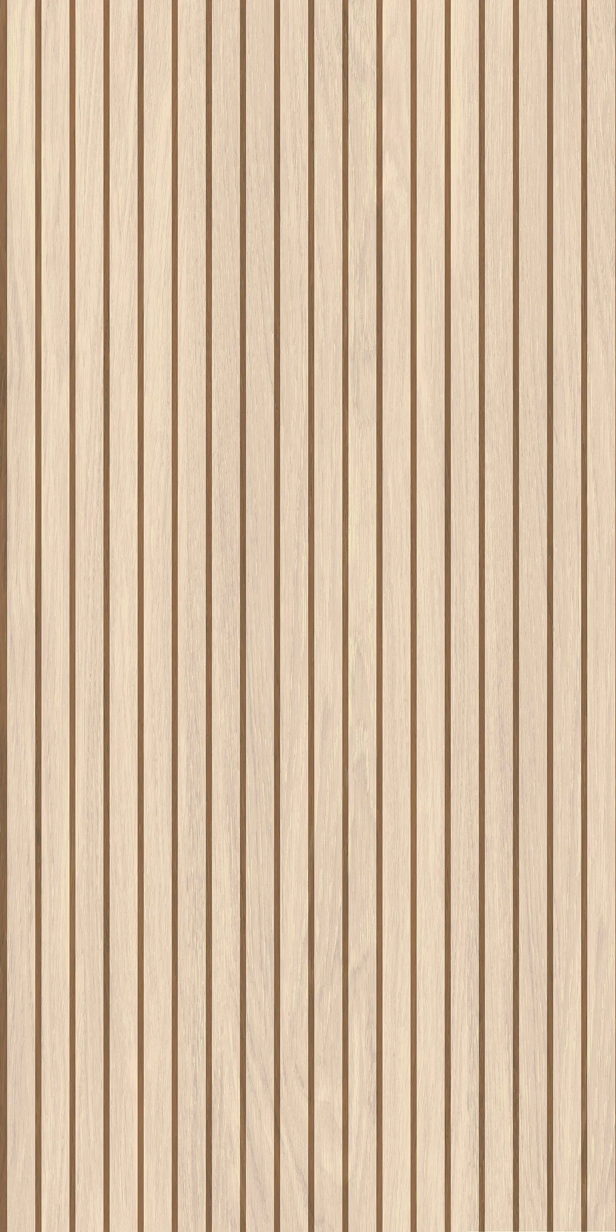 60x120 Sunpo Açık Meşe Rektifiyeli — 2