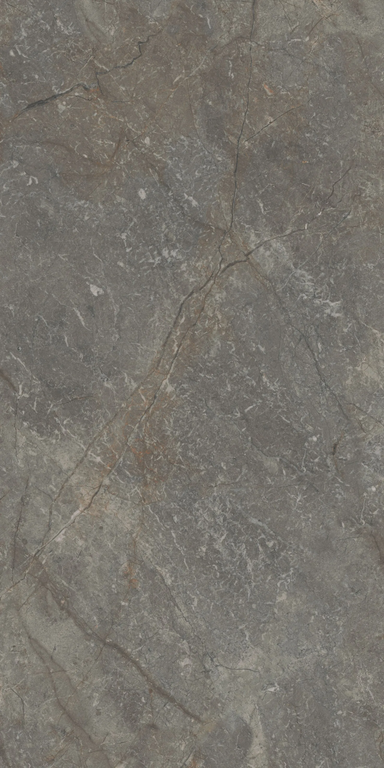 60X120 Silver Root Gri Rektifiyeli — 2