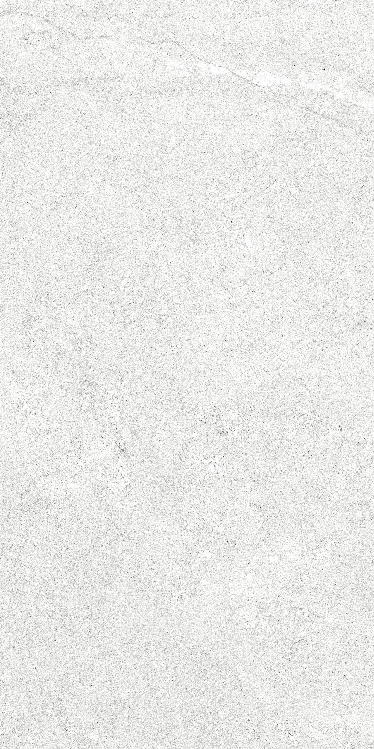 30x60 Mare Beyaz Rektifiyeli — 4