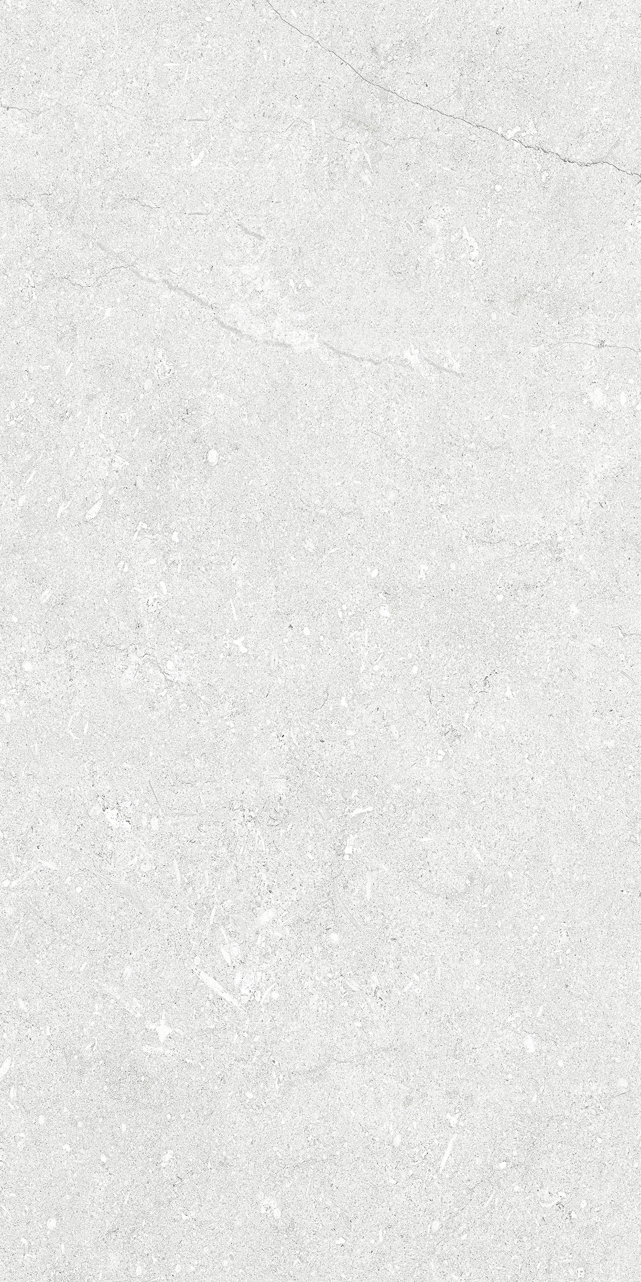 30x60 Mare Beyaz — 2