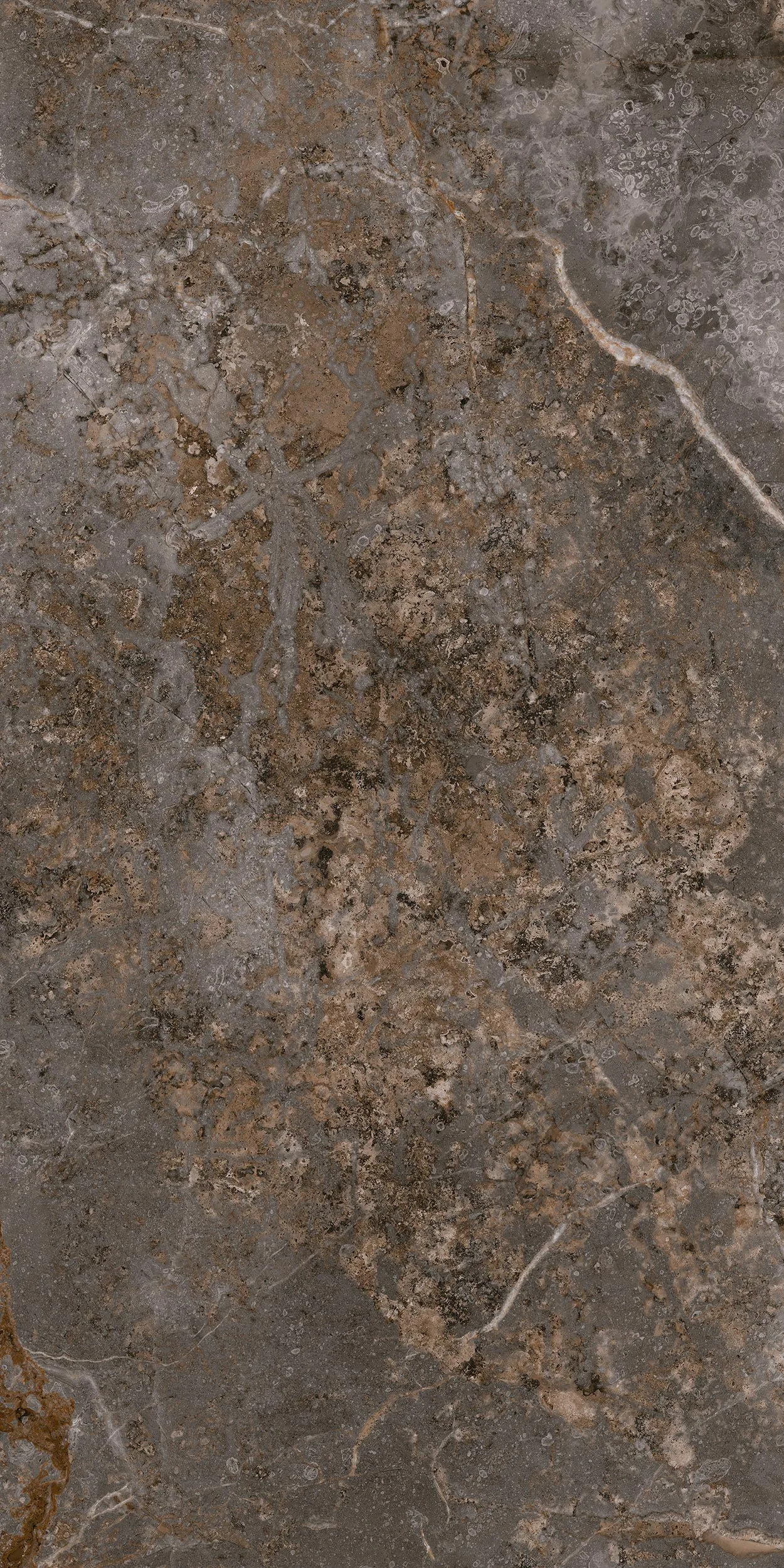 60x120 Vesuvio Antrasit Rektifiyeli — 4