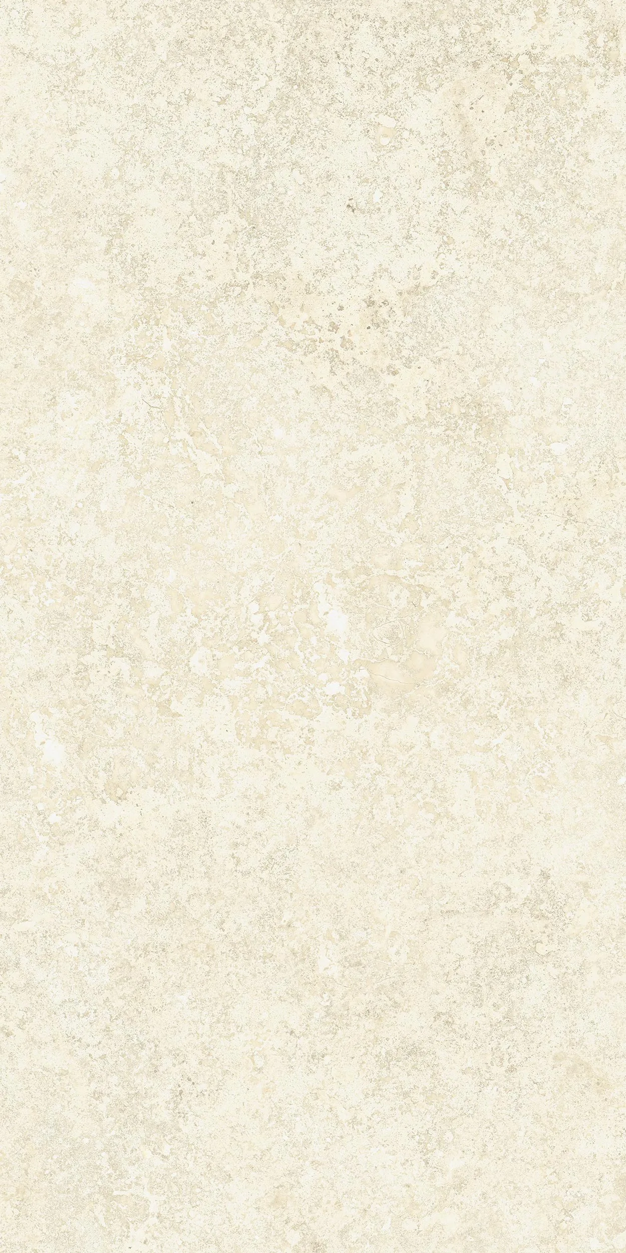 30x60 Motto Avorio — 4