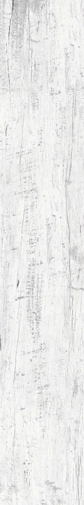 TAXIM 15x90 White