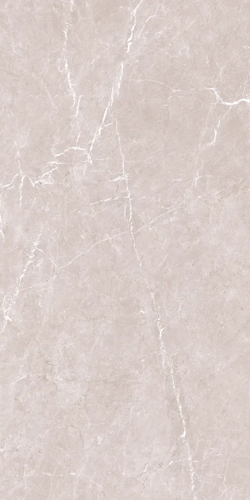 VIENNA 60x120 Taupe