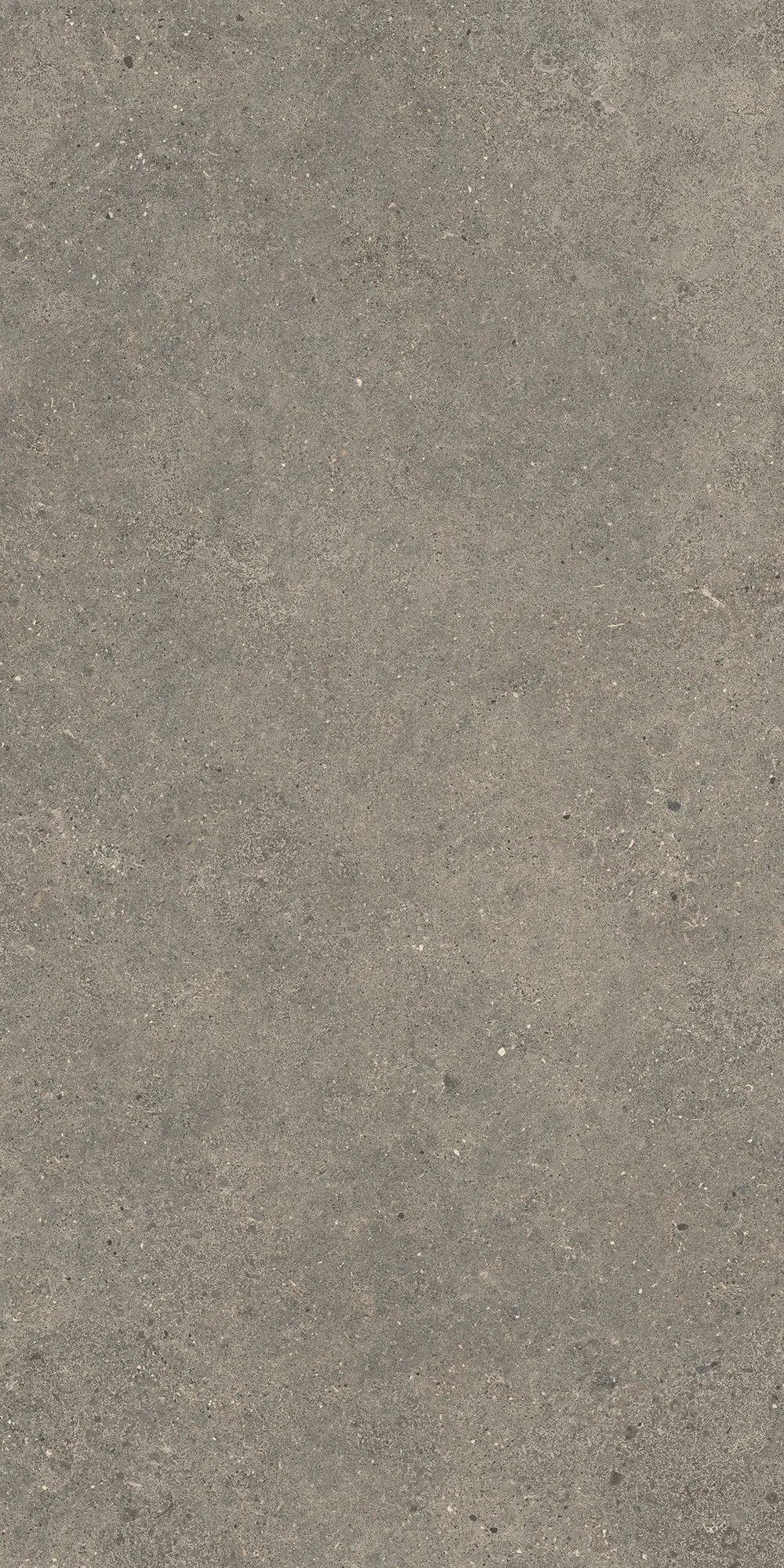 Aterna Taupe Mat Porselen Karo 60x120 — 3