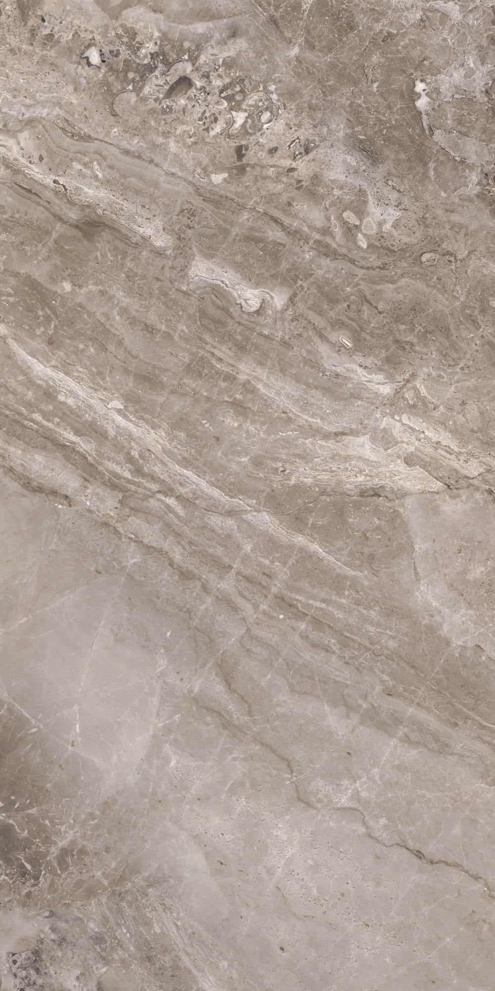 Nairobi Marble Parlak Kahve Porselen Karo 60x120