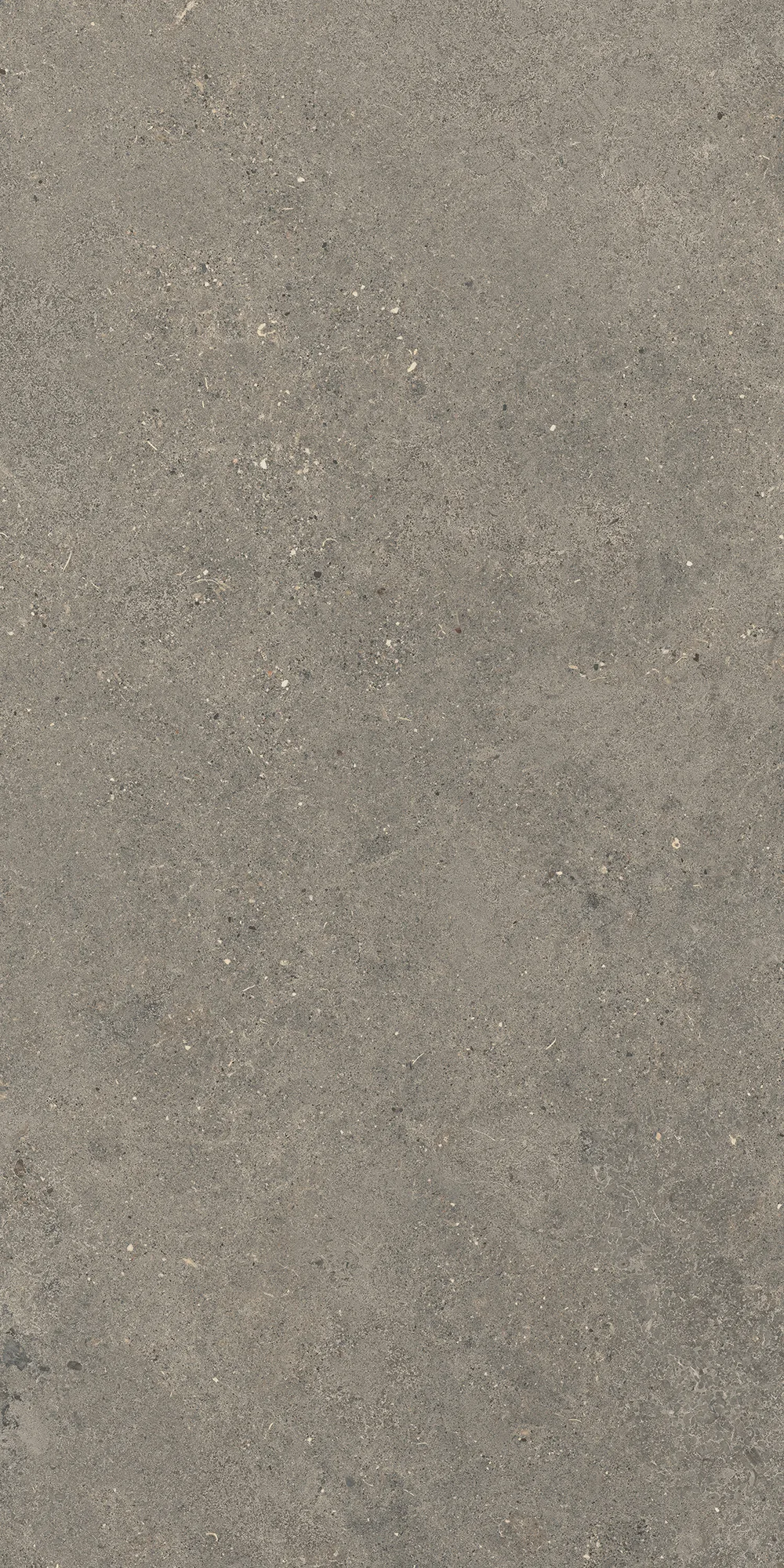 Aterna Taupe Mat Porselen Karo 60x120 — 4