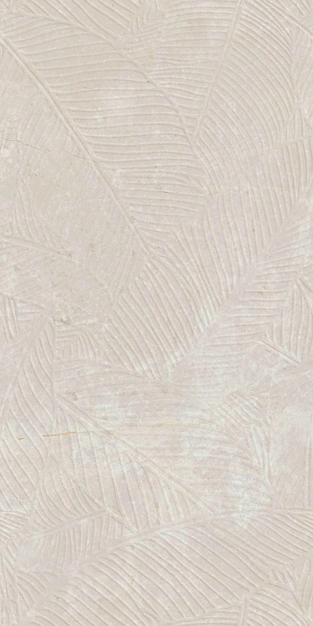 Capella Mat Kemik Dekor — 5