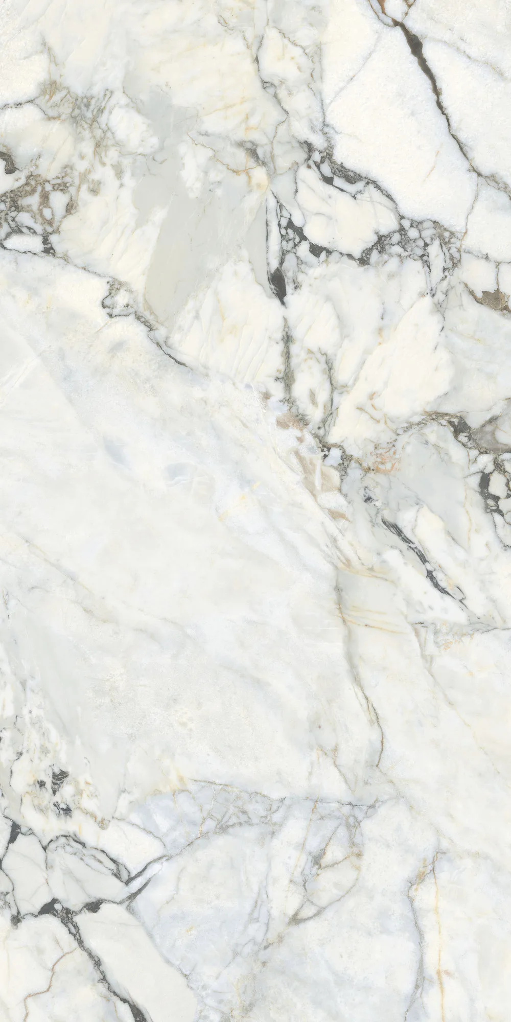 White Bovary Parlak Porselen Karo 60x120 — 2