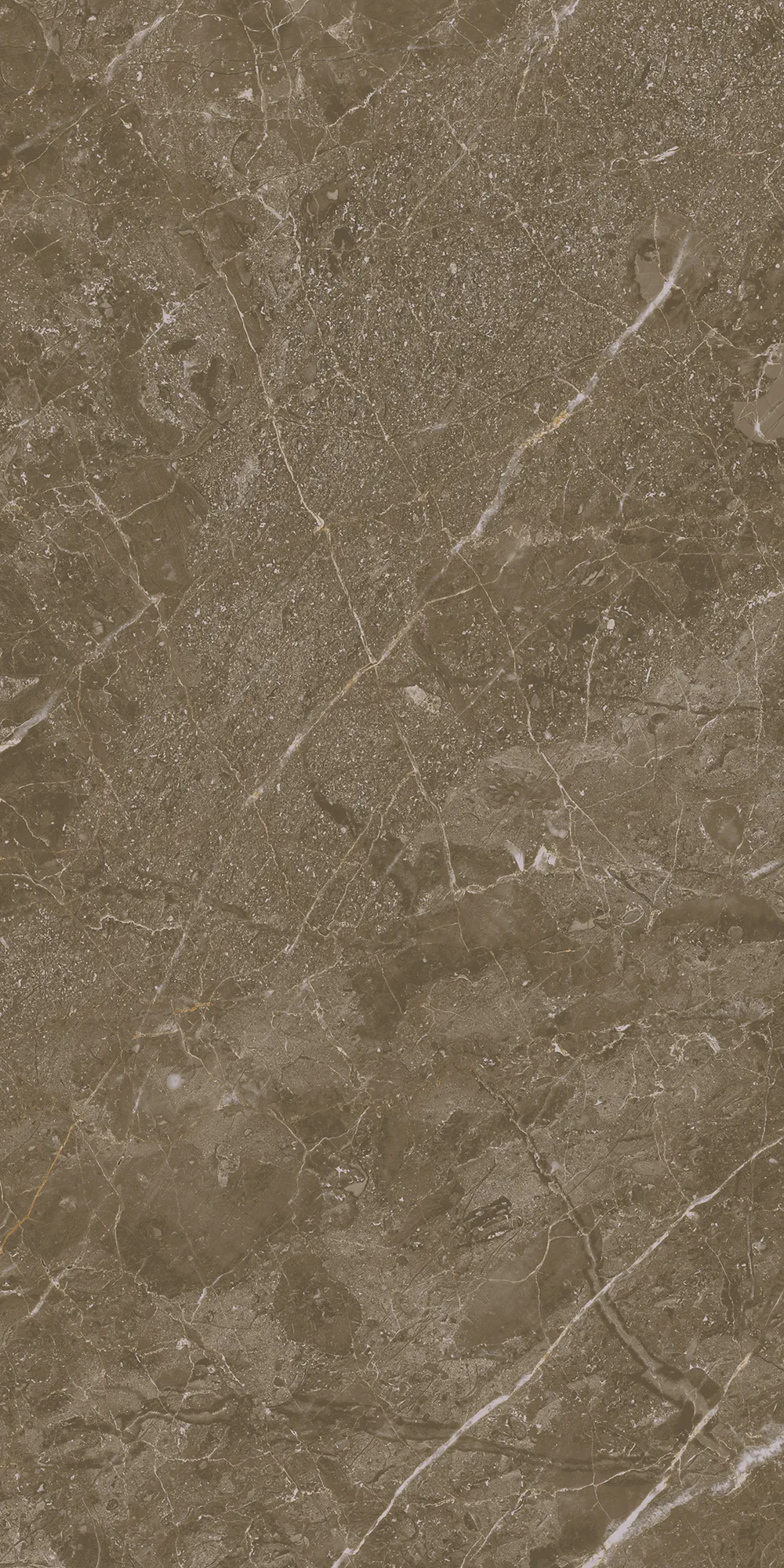 Alegra Parlak Kahve Duvar Karosu