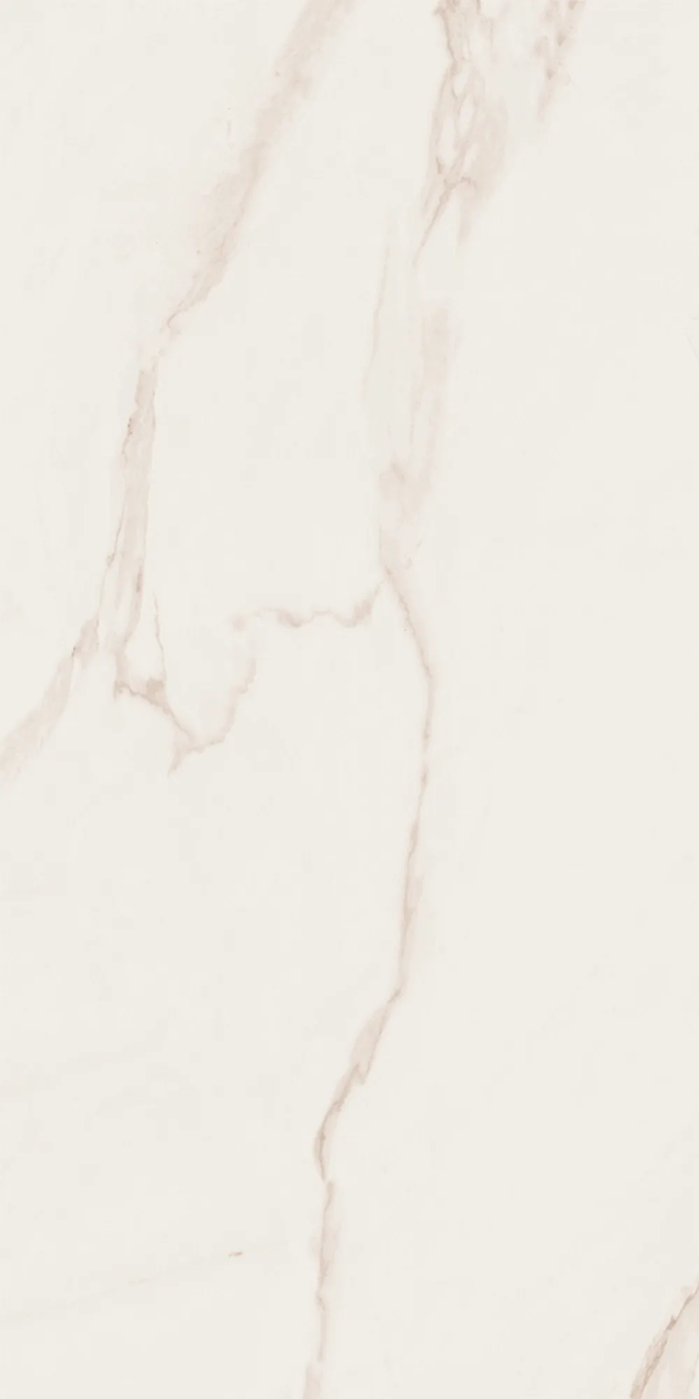Line Calacatta Parlak Krem Duvar Karosu — 4