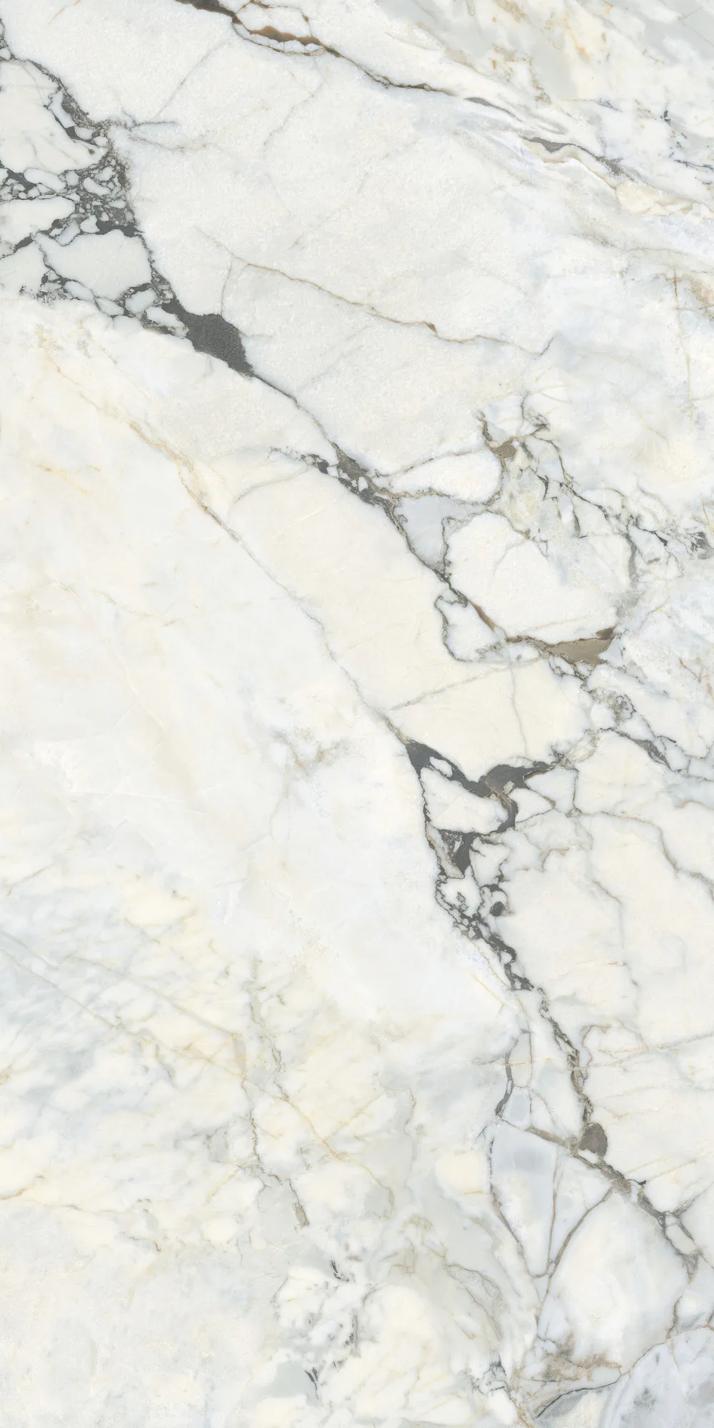 White Bovary Parlak Porselen Karo 60x120 — 3