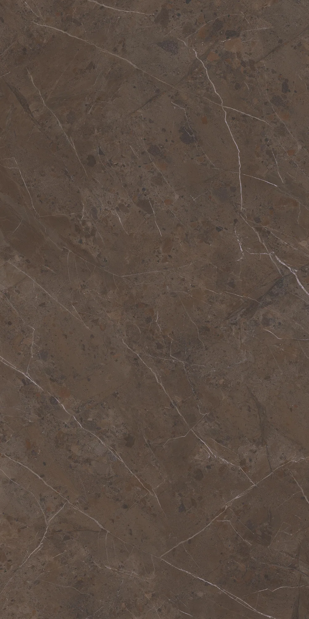 Imperiale Brown Mat Porselen Plaka 162x323 — 3