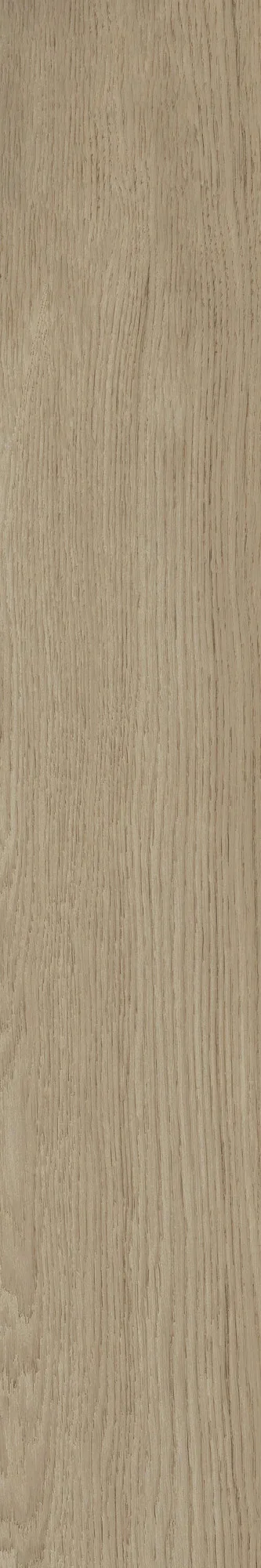Modern Wood Mat Altın Sırlı Granit — 2
