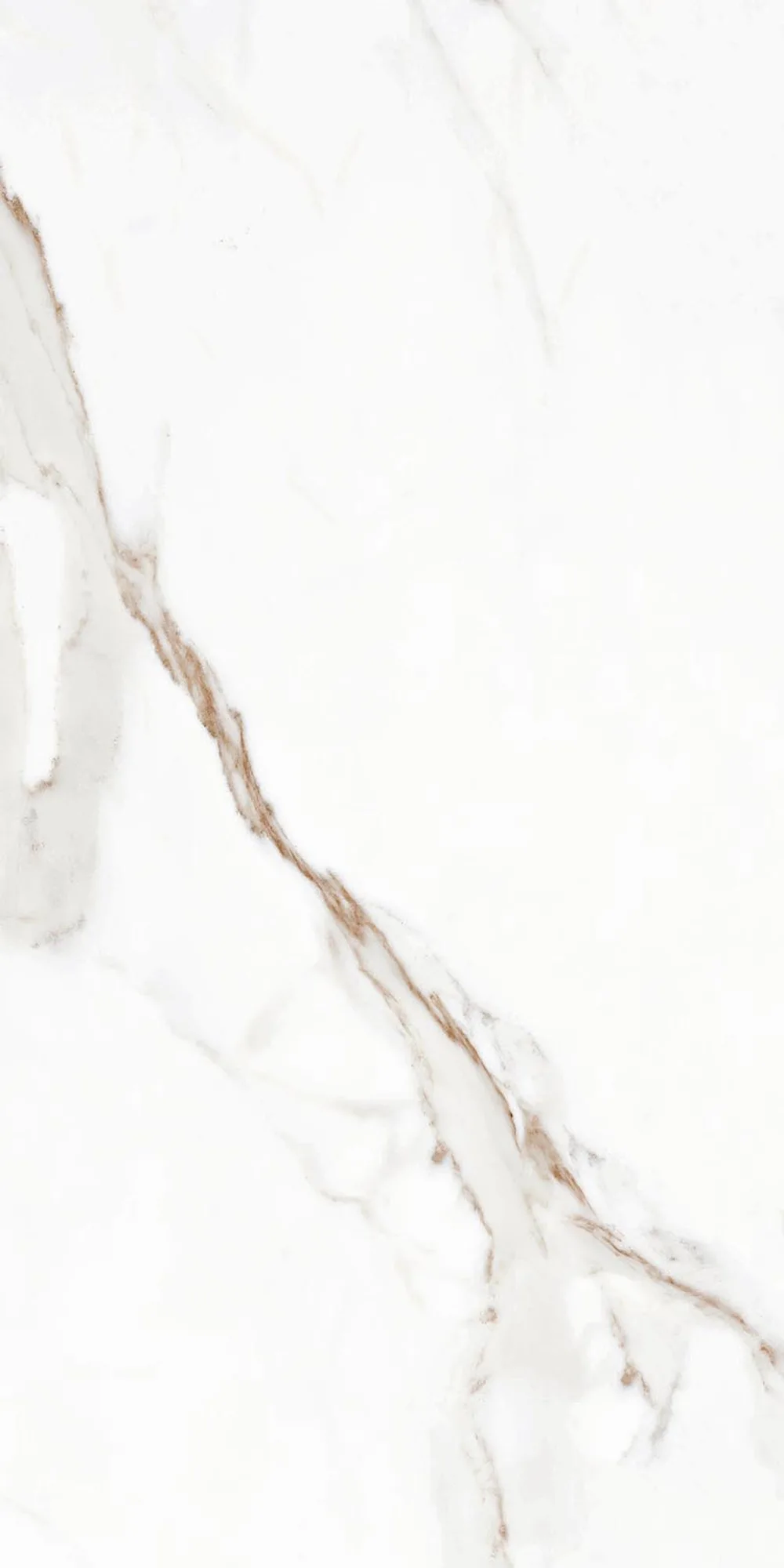 Calacatta Gold Parlak Duvarkarosu — 5