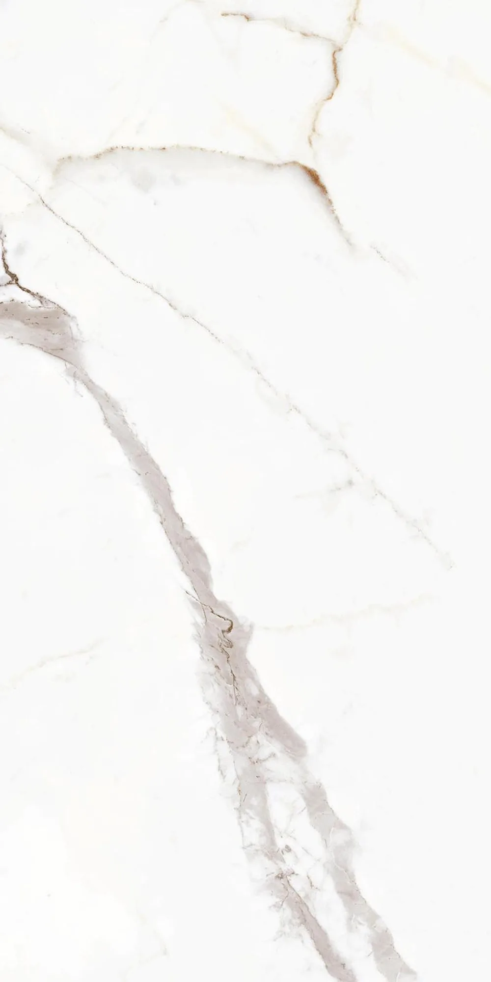 Calacatta Gold Parlak Duvarkarosu — 3