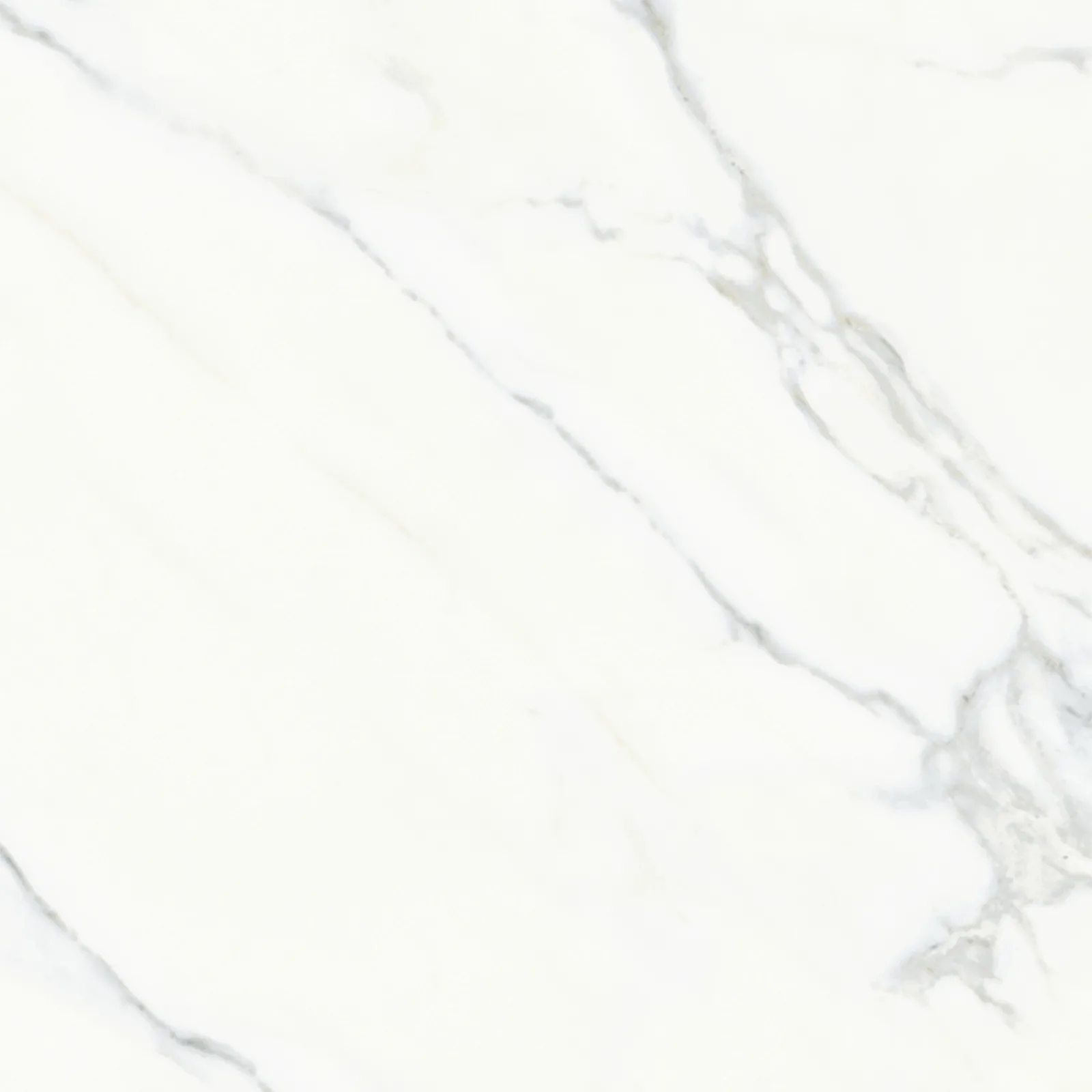 61x61 CALACATTA MAT — 3