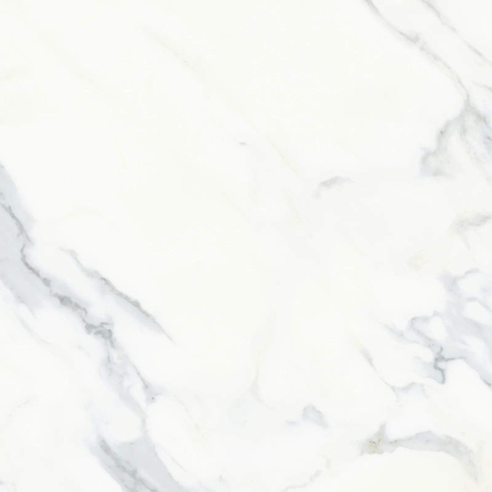 61x61 CALACATTA MAT — 5